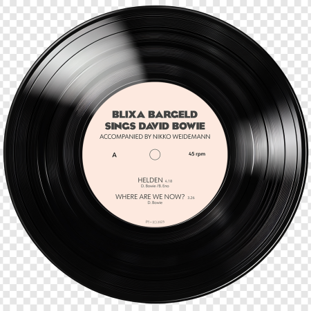 vinyl mockup